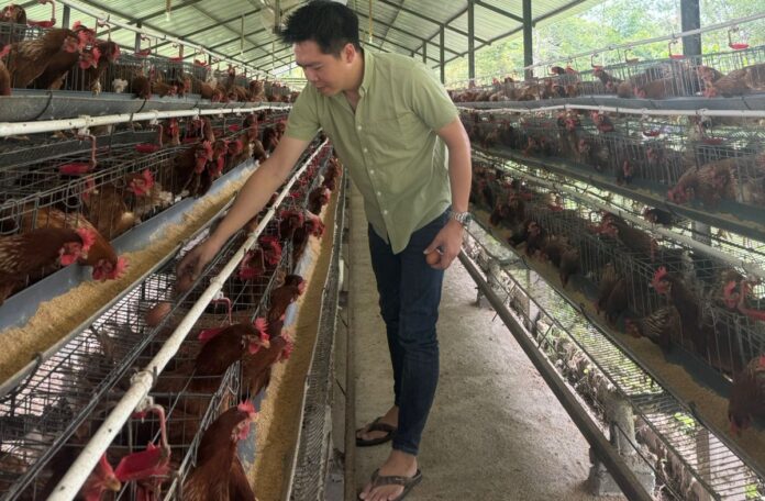 Perhimpunan Peternak Unggas Rakyat NTB (Petarung) (Ekbis NTB/bul)