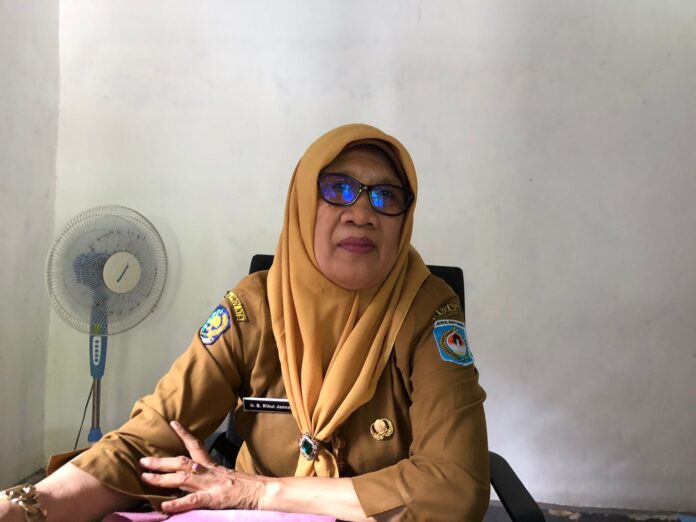 Foto: Hj. Baiq Rihul Jannah. (ekbisntb.com/era)