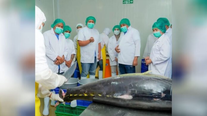 KUNJUNGI: Pj.Gubernur NTB, H.Lalu Gita Ariadi mengunjungi PT. High Point Fisheries (HPF) di Desa Labuhan Lombok, Kecamatan Pringgabaya, Lotim, Sabtu 8 Juni 2024. (ekbisntb.com/ist)