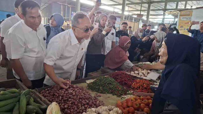 Menteri Perdagangan (Mendag) Zulkifli Hasan(ekbisntb.com/ant)