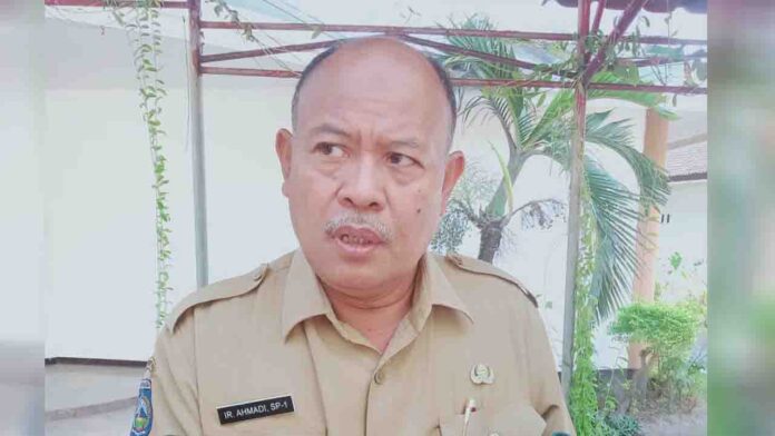 H. Achmadi (ekbisntb.com/ham)