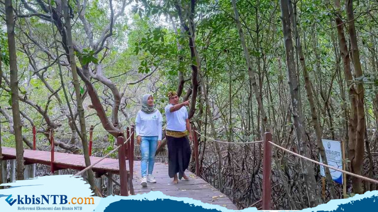 Ekowisata Hutan Mangrove Purba Jerowaru Kerek Ekonomi Masyarakat Ekowisata Hutan Mangrove Purba Jerowaru Kerek Ekonomi Masyarakat