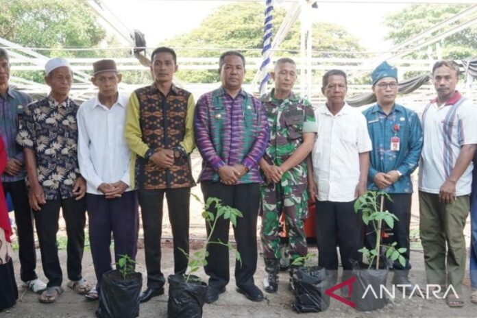Penjabat Walikota Bima, Mukhtar membagikan bibit pohon tomat dan cabai kepada warga Kota Bima. (ekbisntb.com/ant)