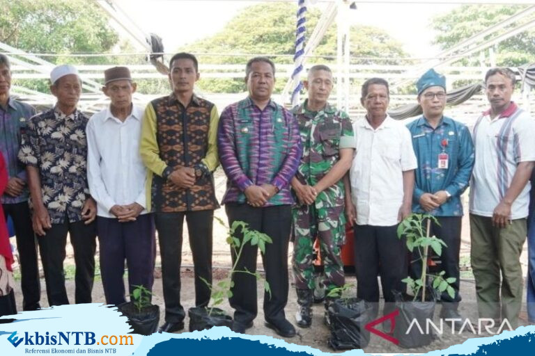 Pemkot Bima Bagikan 2.000 Bibit Tomat dan Cabai untuk Tekan Inflasi Pemkot Bima Bagikan 2.000 Bibit Tomat dan Cabai untuk Tekan Inflasi