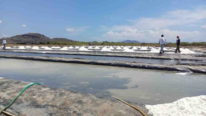 Lahan tambak garam di Sumbawa. Dislutkan Sumbawa, mencatat sekitar 370 hektare lahan potensial tambak garam belum tergarap di Sumbawa.(ekbisntb.com/dok)