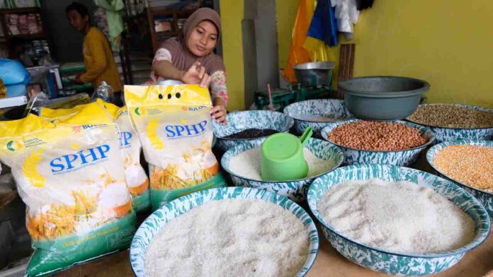 Beras lokal(ekbisntb.com/bul)