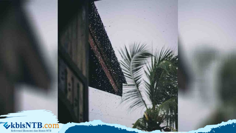 Curah Hujan Mulai Meningkat, NTB Siap Masuki Musim Hujan Curah Hujan Mulai Meningkat, NTB Siap Masuki Musim Hujan