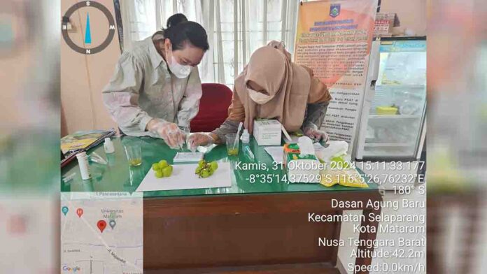 Proses pemeriksaan anggur muscat dan tidak menemukan kandungan zat berbahaya seperti pestisida.(ekbisntb.com/ist)