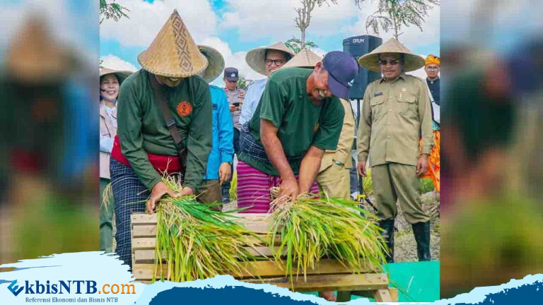 NTP Tanaman Pangan dan Tanaman Perkebunan Rakyat Alami Penurunan NTP Tanaman Pangan dan Tanaman Perkebunan Rakyat Alami Penurunan
