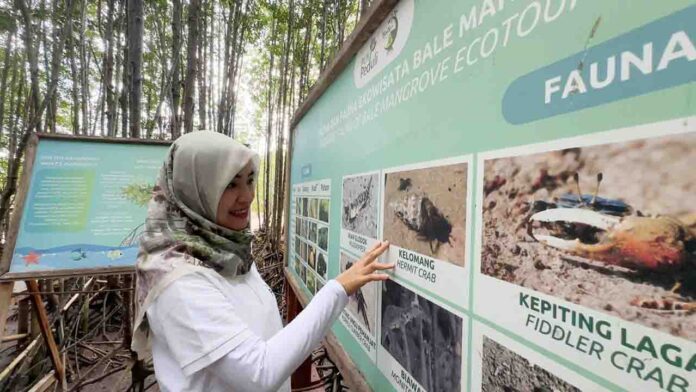 PLN NTB menerima penghargaan dalam kategori Pengembangan Wisata Konservasi Alam berkat keberhasilan program TJSL Pengembangan Ekowisata Bale Mangrove(ekbisntb.com/ist)