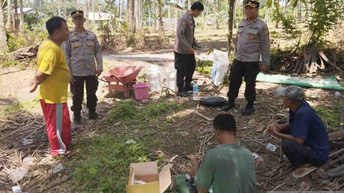 Kepolisian bersama kelompok tani dalam aktivitas pemupukan ladang jagung di atas lahan 3,5 hektare Desa Selat, Lombok Utara, NTB, Kamis 6 Februari 2025(ekbisntb.com/ant)