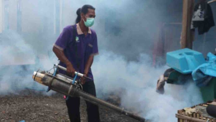 Kegiatan fogging di Desa Kabar beberapa waktu lalu. Dalam sebulan kasus DBD di Lotim melonjak menjadi 40 kasus positif. (ekbisntb.com/rus)