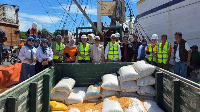Kementerian Pertanian menyebutkan sebanyak 250 ton jagung asal Nusa Tenggara Timur terdistribusi ke Jawa Timur.(ekbisntb.com/ist)