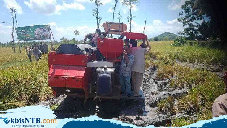 Tantangan dan Peluang Ketahanan Pangan Jadi Pekerjaan Bersama Tantangan dan Peluang Ketahanan Pangan Jadi Pekerjaan Bersama