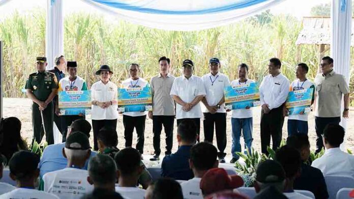 Panen Tebu Bersama Wapres Gibran(ekbisntb.com/ist)