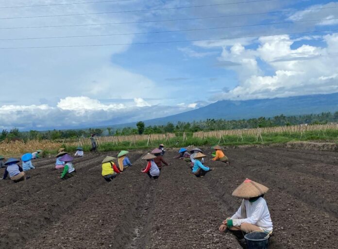 Screenshot_20251024-131112