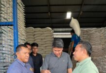 Serapan Bulog NTB Berhasil Lampaui Target, Stok Beras Sangat Aman