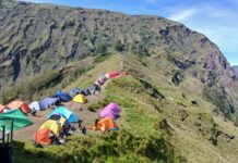Penerimaan Negara dari Pendaki Rinjani Tembus Rp25,9 Miliar