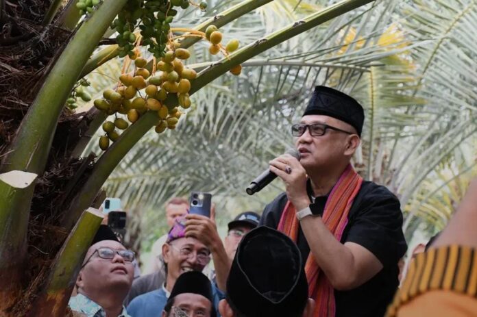 Menteri Haji dan Umrah, Muhammad Irfan Yusuf, saat melihat dari dekat kurma yang sedang berbuah di luar musim di Dusun Jugil, Desa Samik Bangkol, Kecamatan Gangga, KLU, Sabtu (17/1/2026). (suarantb.com/ist)