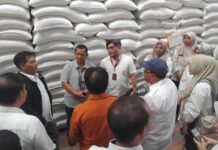 Pemprov NTB Pastikan Stok Pangan Aman Jelang Ramadan Pemprov NTB Pastikan Stok Pangan Aman Jelang Ramadan