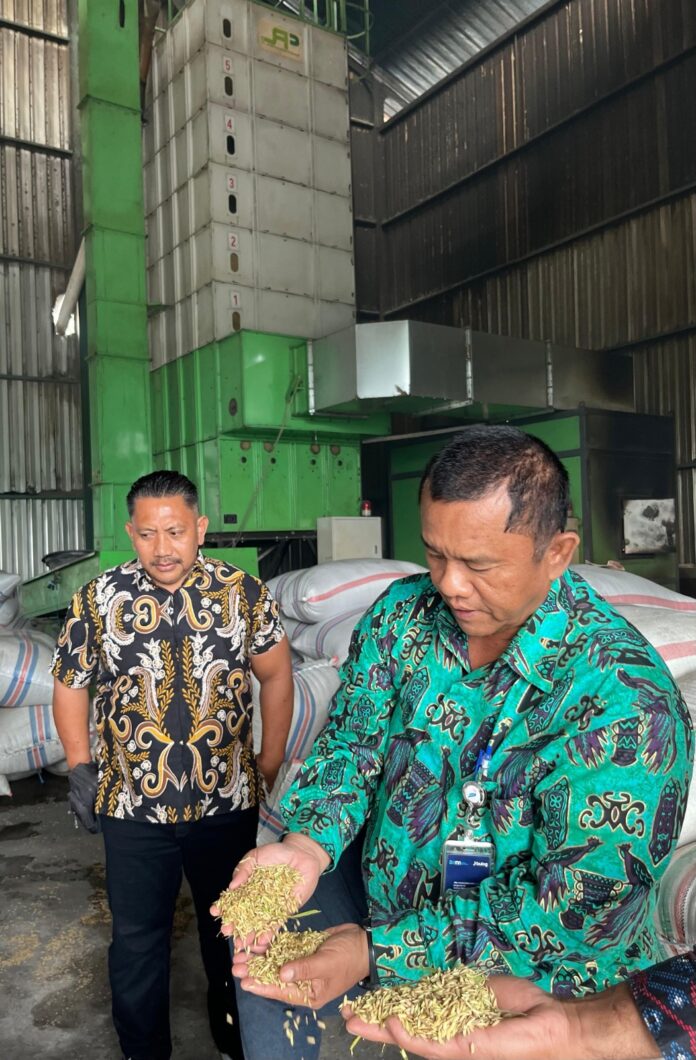 Kepala Kanwil Perum Bulog NTB, Mara Kamin Siregar turun ke mitra-mitra pengadaan untuk mengoptimalkan serapan tahun 2026 ini. (Suara NTB/ist) Pemerintah Targetkan Serap Setara 240 Ribu Ton Beras dari NTB