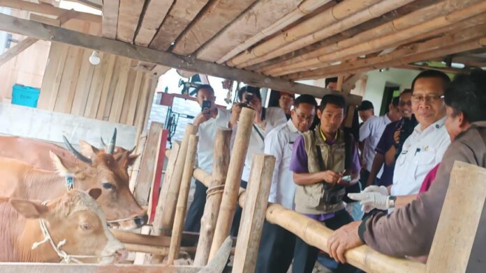 Harga Sapi di Lotim Kerap Tidak Terkendali