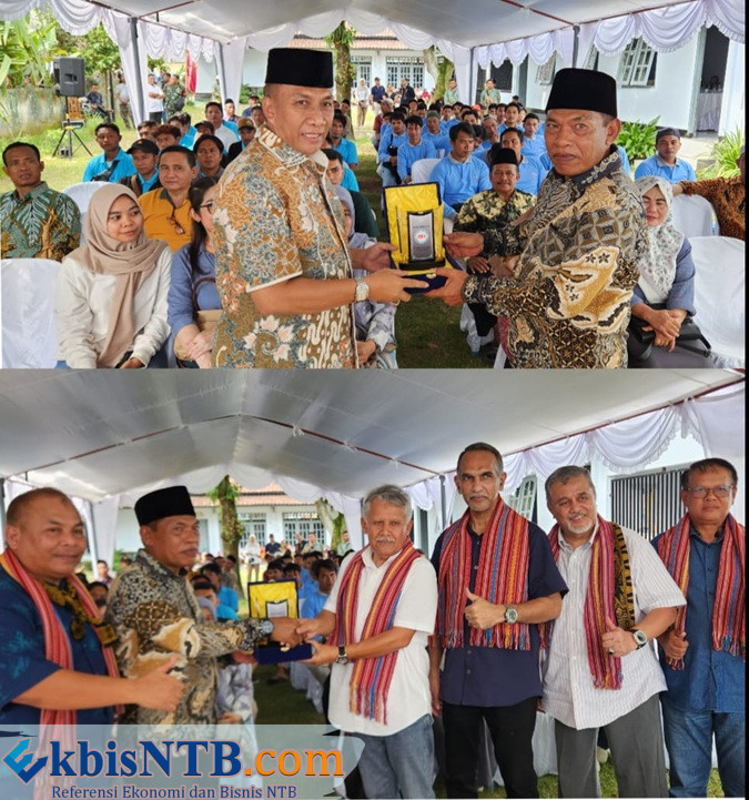 WhatsApp Image 2026-01-30 at 18.02.51