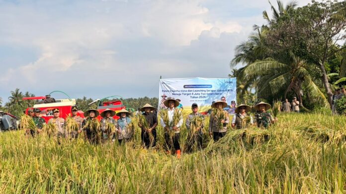 Direktur Utama Perum Bulog, Letjen TNI (Purn) Ahmad Rizal Ramdhani melakukan kegiatan panen raya dan launching serapan gabah petani tahun 2026 di Tanjung, Lombok Utara, Jumat, 30 Januari 2026. (suarantb.com/ist) Bulog Optimalkan Serapan Gabah di NTB Menuju Target 4 Juta Ton Setara Beras Nasional