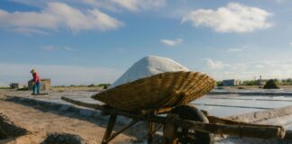 7.000 Hektare Lahan Tambak Garam Rakyat Terdeliniasi di Sumbawa