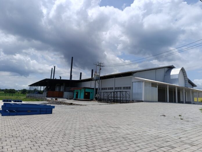 PAD Sektor Perindustrian Terendah di Lotim, Pabrik Porang Belum Beroperasi Terkendala Bahan Baku