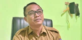 Pengadaan Mobil Listrik, Imbas Efisiensi Anggaran Pengadaan Mobil Listrik, Imbas Efisiensi Anggaran