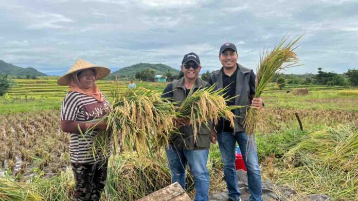 Pimwil Bulog NTB, Mara Kamin Siregar bersama Tim saat menunjukkan hasil panen petani. (Ekbis NTB/ist)