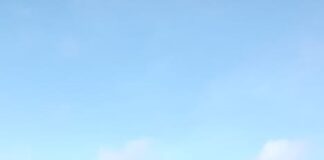 Teluk Ekas Ditetapkan sebagai Pusat Riset Rumput Laut Dunia