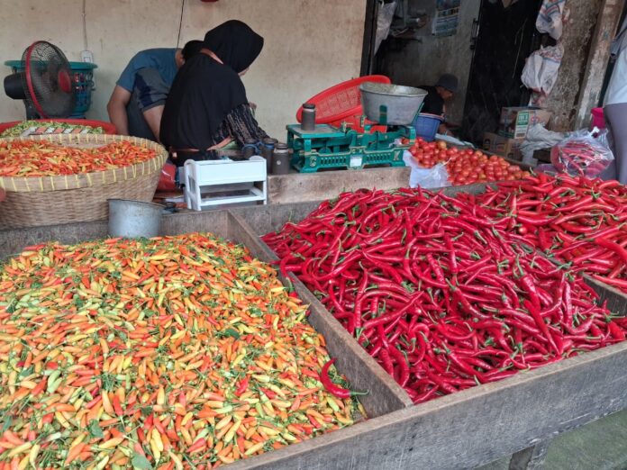 Pedagang cabai di Pasar Mandalika. Pada bulan Ramadan ini, harga cabai di sejumlah pasar tradisional mengalami kenaikan. (suarantb.com/era) ‘’Pedasnya’’ Harga Cabai di Bulan Ramadan