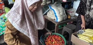 Disperindag Turun Stabilisasi, Harga Cabai di Lobar Capai Rp120 Ribu Per Kilogram