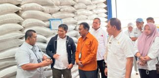 Stok Melimpah, Beras NTB akan Dikirim ke Bali dan NTT