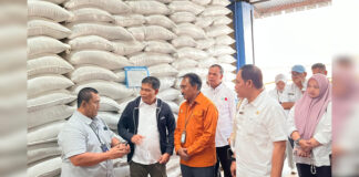 Stok Melimpah, Beras NTB akan Dikirim ke Bali dan NTT