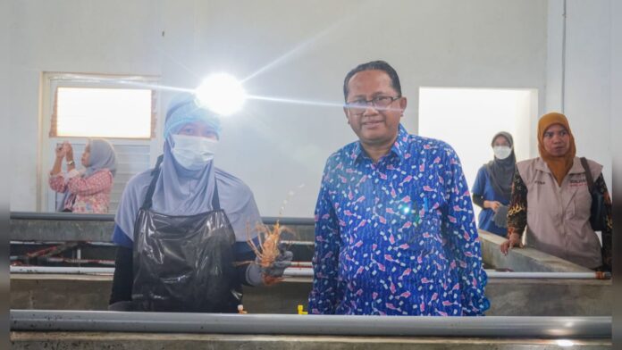 Pemerintah Larang Ekspor Benih Lobster, Ada Peluang bagi NTB