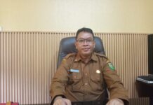 Harga Cabai Dinilai Faktor Utama Inflasi Tinggi