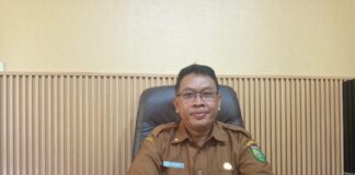 Harga Cabai Dinilai Faktor Utama Inflasi Tinggi