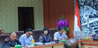 PLN Tegaskan Pengembangan Geothermal Berbasis Ilmiah, Akademisi Pastikan Manifestasi Alamiah