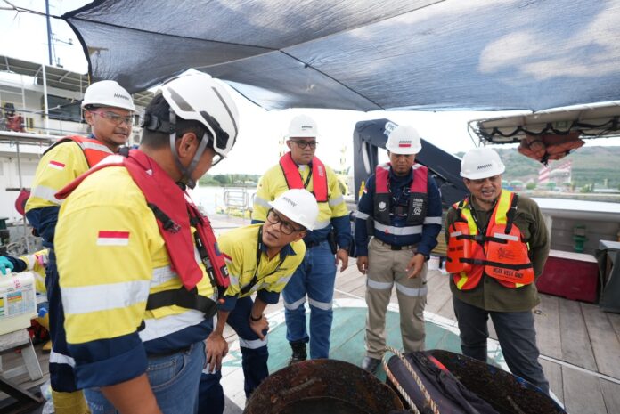 Akademisi Nilai Studi Rekolonisasi di Area Operasional AMMAN Tunjukkan Tren Positif bagi Ekosistem Laut