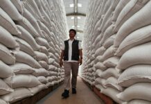 BULOG Cetak Rekor Sepanjang Sejarah, Stok Beras Tembus 5 Juta Ton BULOG Cetak Rekor Sepanjang Sejarah, Stok Beras Tembus 5 Juta Ton