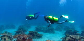 Lampaui Standar Kepatuhan Sosial dan Lingkungan, AMMAN Raih Predikat PROPER Hijau 2026