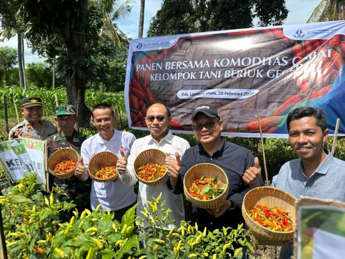 Cabai Jadi “Momok” Inflasi NTB
