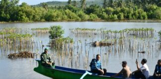 Rimbun Tanaman Bakau Sugian Jadi Daya Tarik Wisata yang Memukau