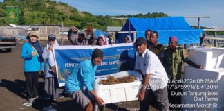 Serahkan Satu Ton Bibit Rumput Laut