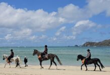 Perkuat Keamanan Pantai Tanjung A’an, ITDC Libatkan Pasukan Berkuda hingga Unit Anjing Pelacak