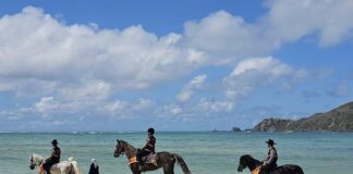 Perkuat Keamanan Pantai Tanjung A’an, ITDC Libatkan Pasukan Berkuda hingga Unit Anjing Pelacak