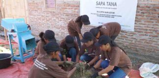 Pertamina Patra Niaga Perkuat Ekonomi Perempuan Desa Tana Duen